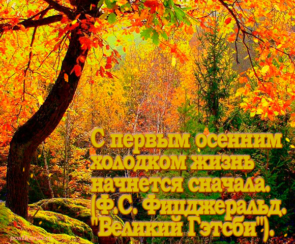 открытка цитата про Осень 