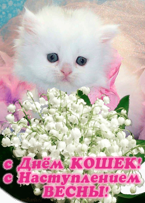 1 марта день кошек и весны открытка