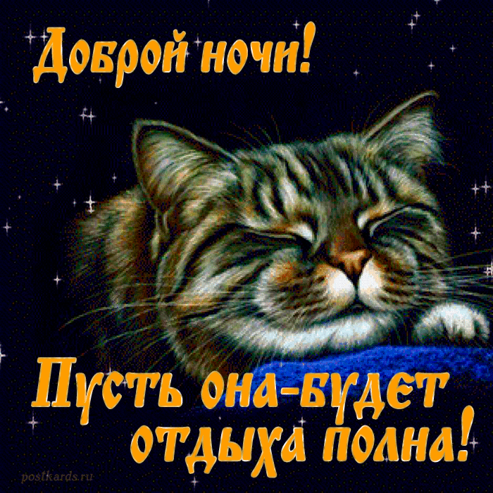 открытка спокойной ночи с котиками