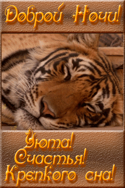 Тигр желает добрых снов