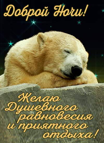 Белый медведь желает доброй ночи