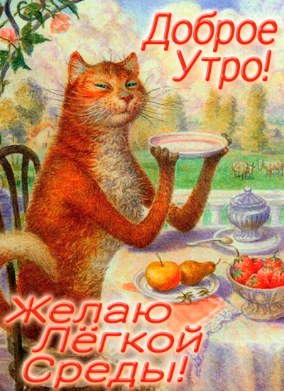Кот пьёт из блюдца натюрморт