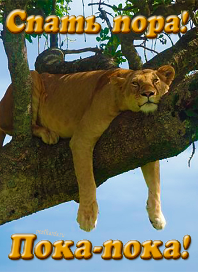 Львица на дереве желает сладких снов