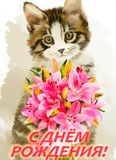 открытка с днём рождения котик букет