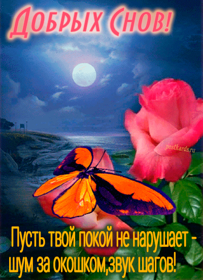 открытка доброй ночи с бабочкой