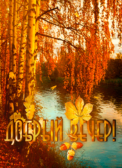 открытка добрый вечер осень 