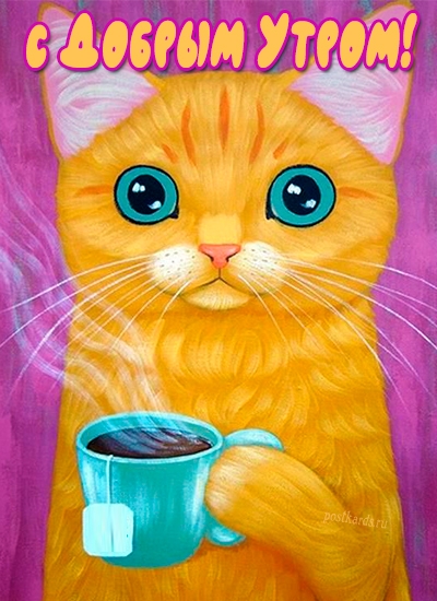 открытка доброе утро кот