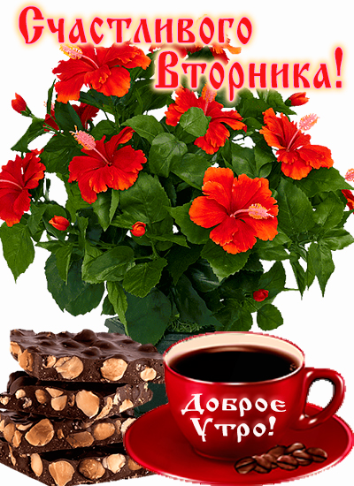 Кофе шоколад цветы вторник