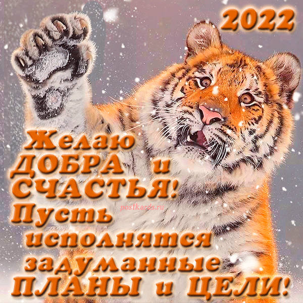 открытка год тигра