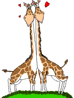 гифка влюблённые жирафы
