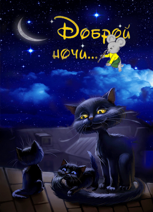 черный кот с пожеланием доброй ночи