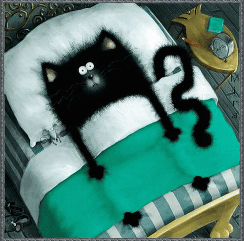 Черный кот под одеялом