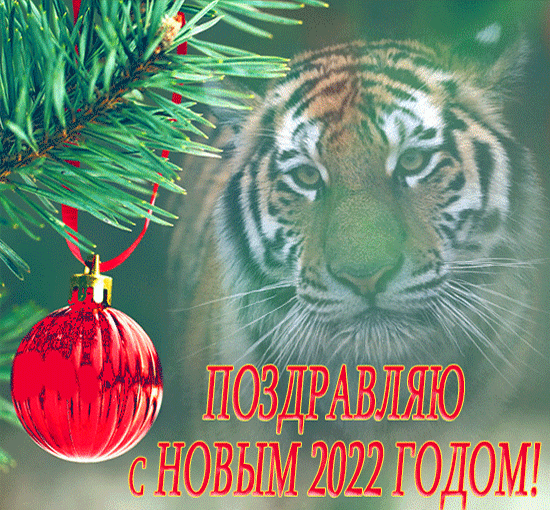 открытка с годом Тигра 2022