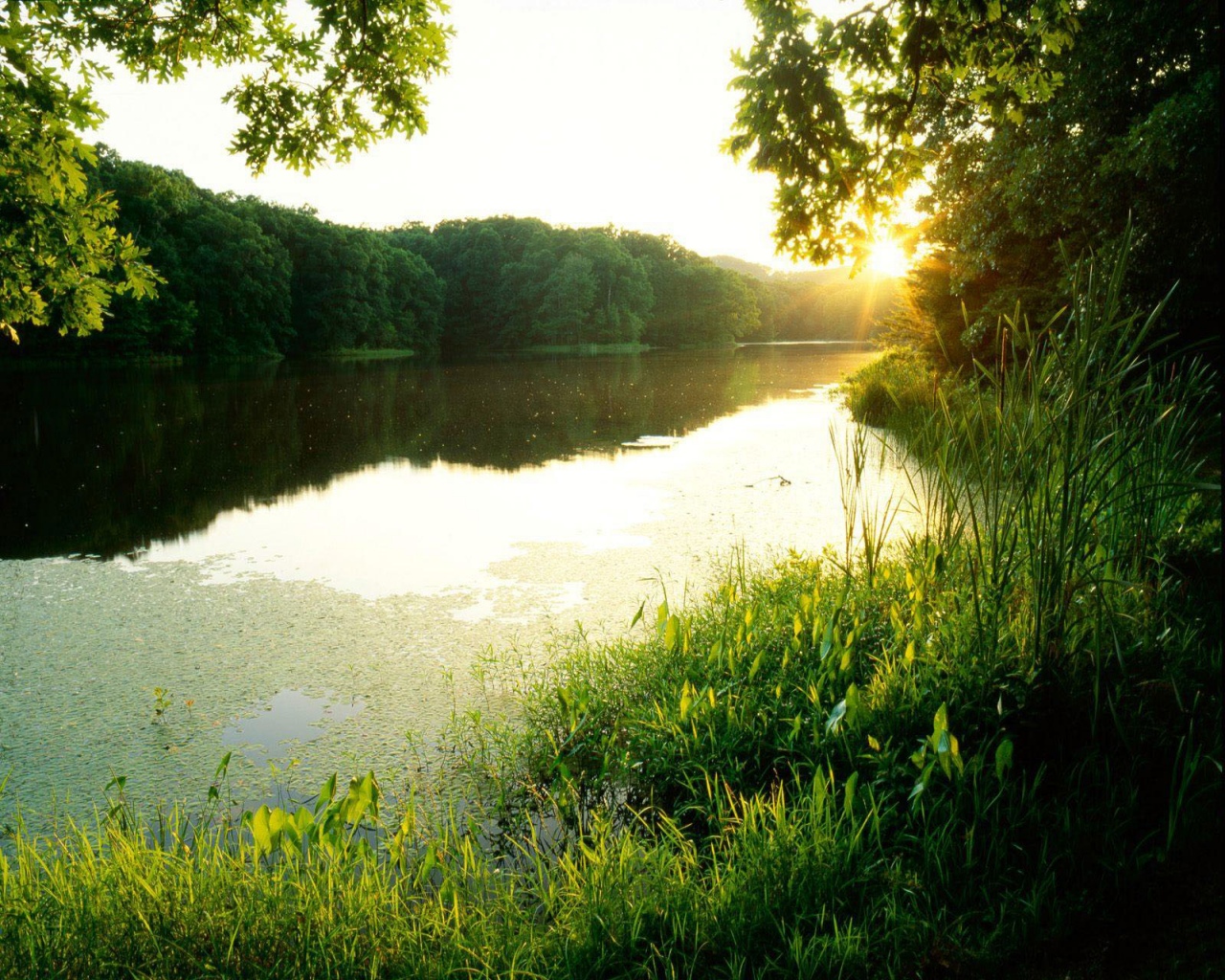 блики заходящего солнца у реки
