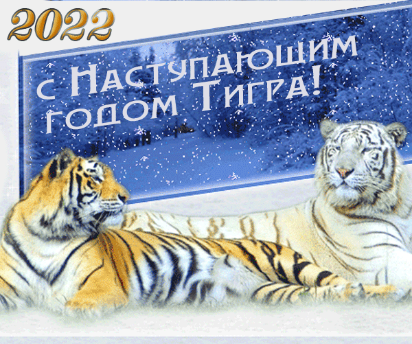 Наступающий 2022 год тигра