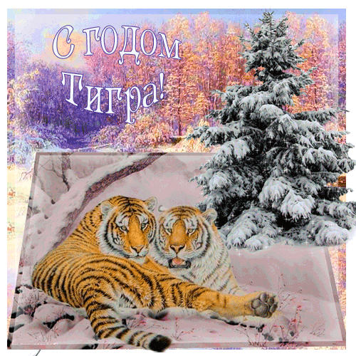 открытка год тигра