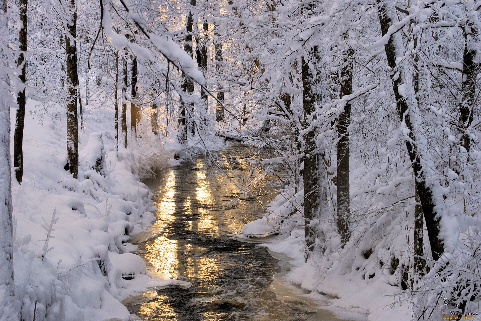 течет ручей в снежном лесу