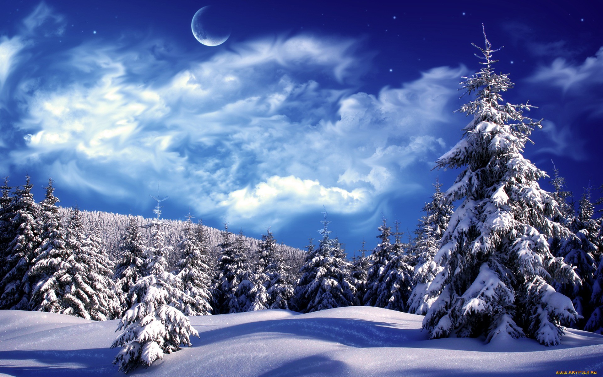 светит якрая луна над зимним лесом обои