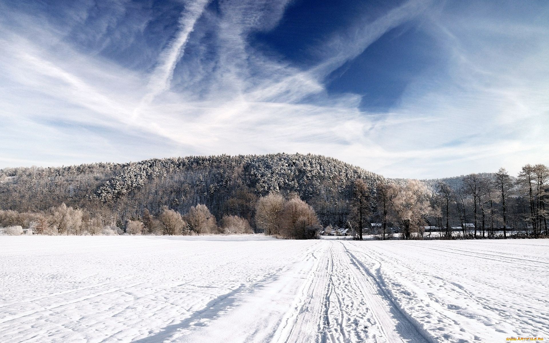 зимний пейзаж фото