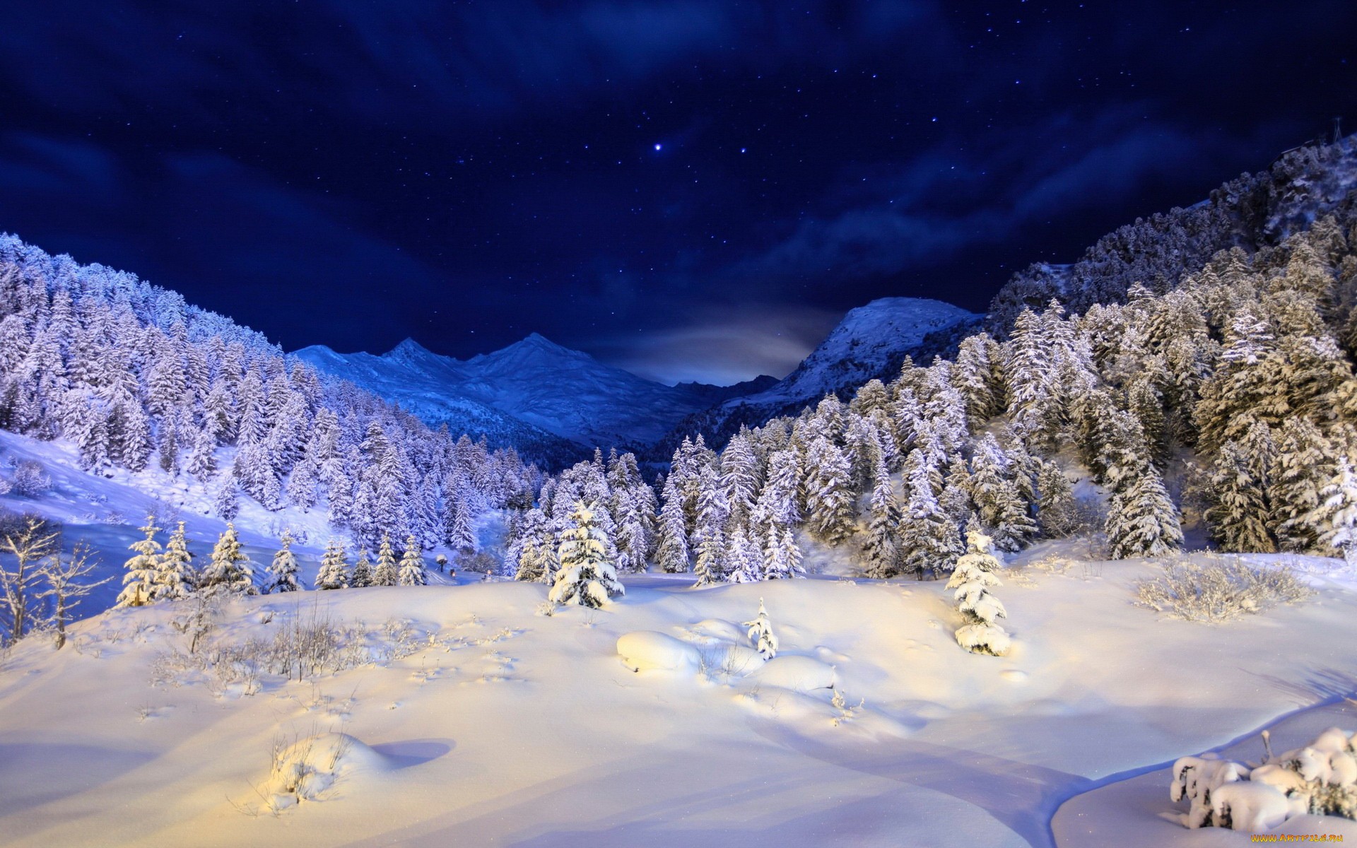 леса в снегу под ночными звездами