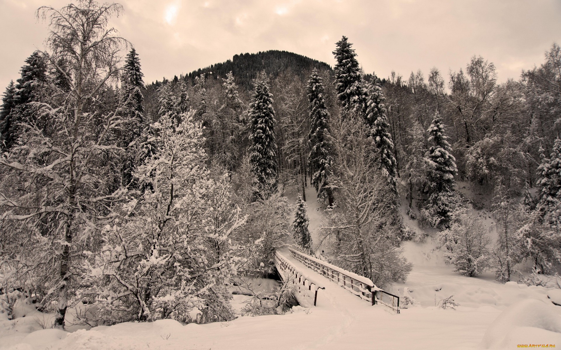мост через овраг засыпало снегом обои