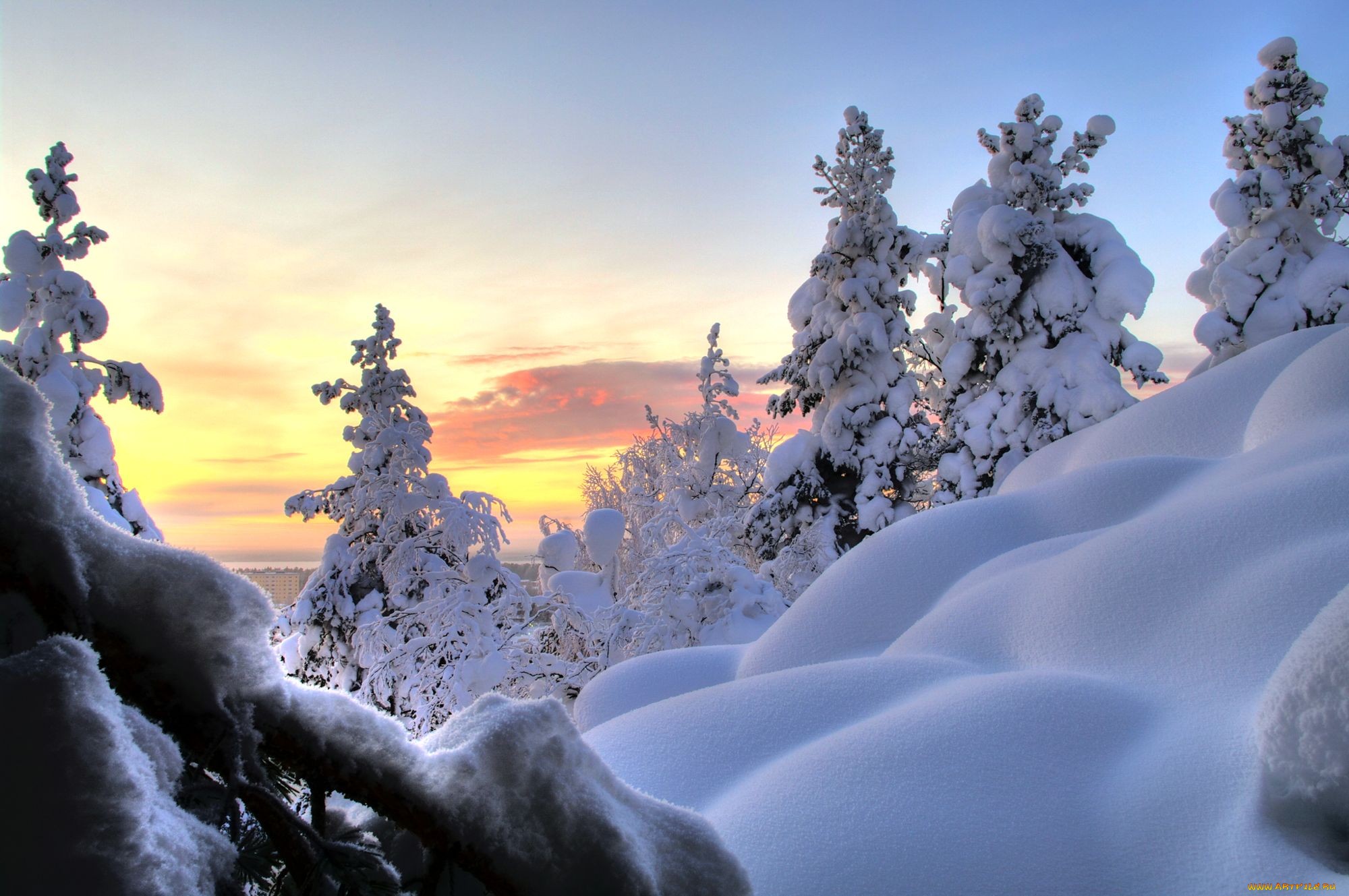 рассвет на сугробах и деревьях в снегу обои
